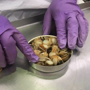 SMALL SCALLOPS IN SCALLOP SAUCE . Edition Fernando Rei